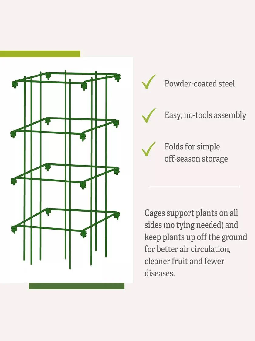 Pepper and Eggplant Cages, Set of 3