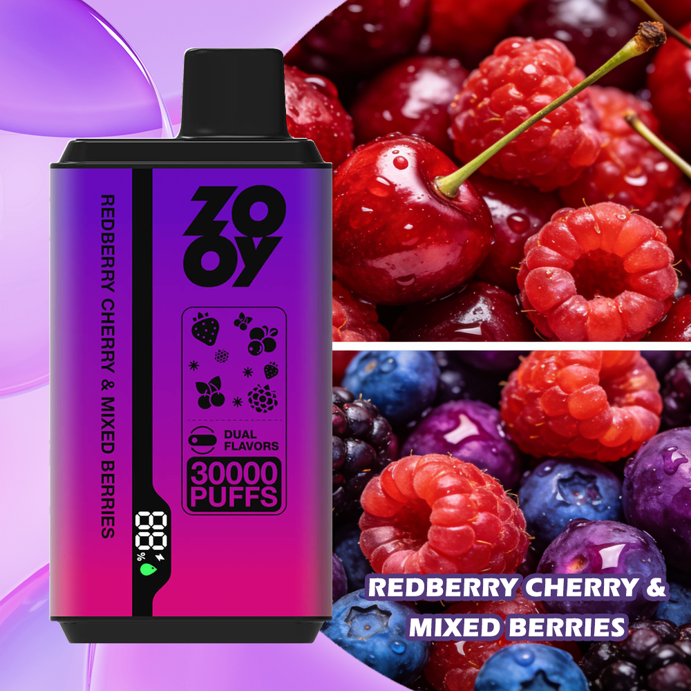 ZOOY Twins 30000 PUFF