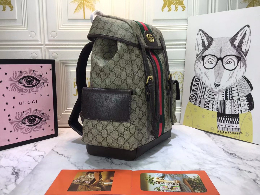 Gucci Ophidia Gg Medium Large Backpack 40Cm 598140 Huhat 8564