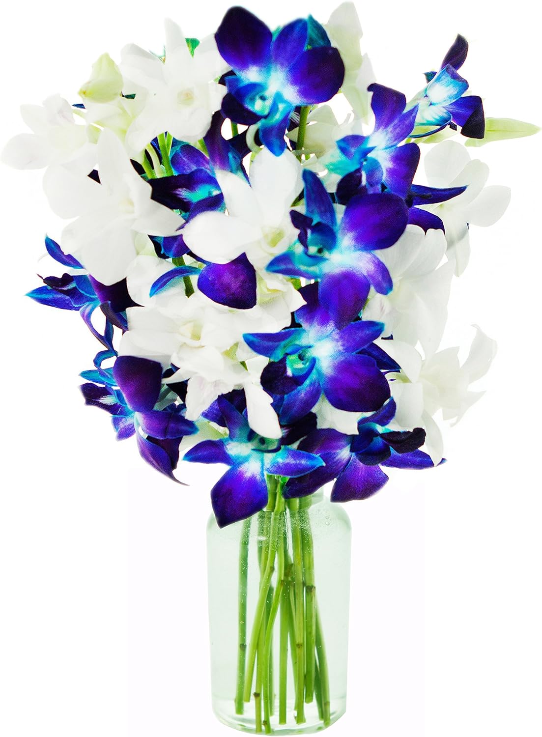 KaBloom - Starry Night Bouquet of 5 Blue and 5 White Orchid with Vase - Fresh Flowers for Birthday, Valentine's & Mother's Day