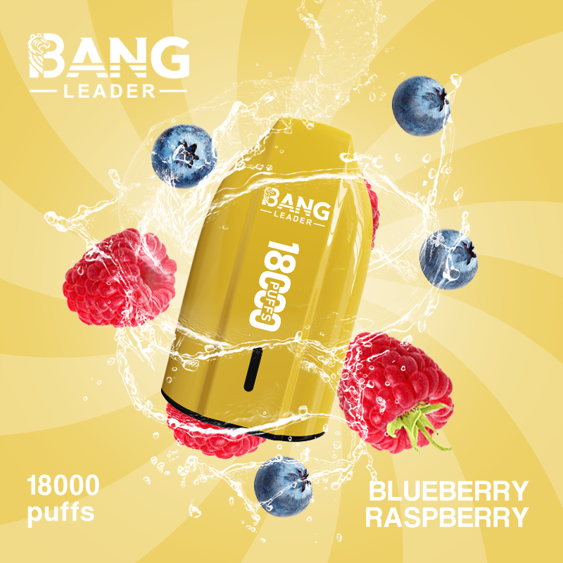 Bang Leader 18K Puffs Prefilled Vape |  Rechargeable