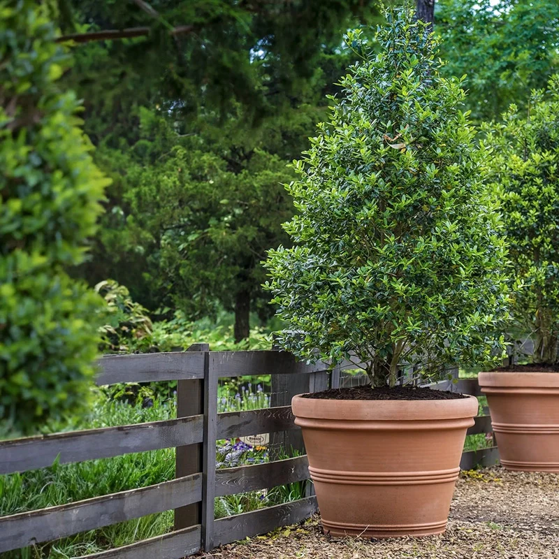 Brunello Planters