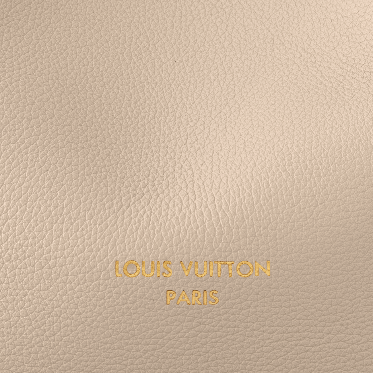 Louis Vuitton Low Key Hobo Mm M25022