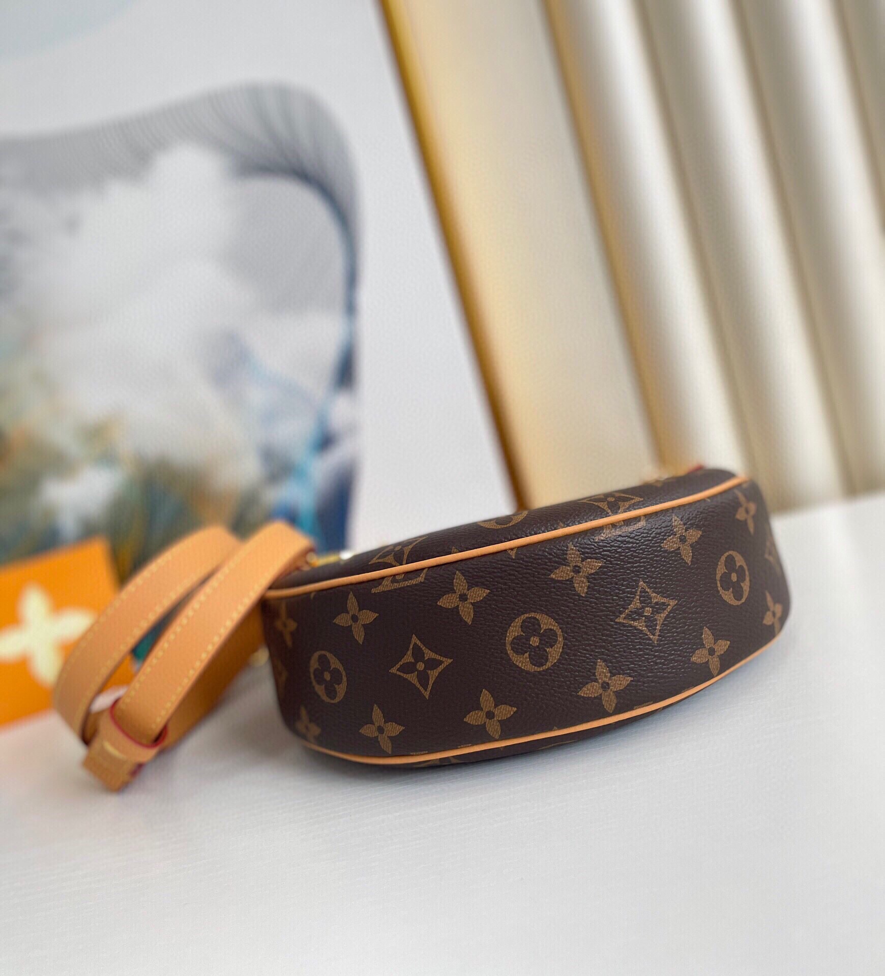 Louis Vuitton Loop Bag Monogram Canvas M81098 23cm/9.1in