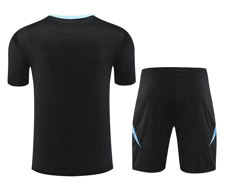 2024-25 Argentina Short-sleeved training clothese