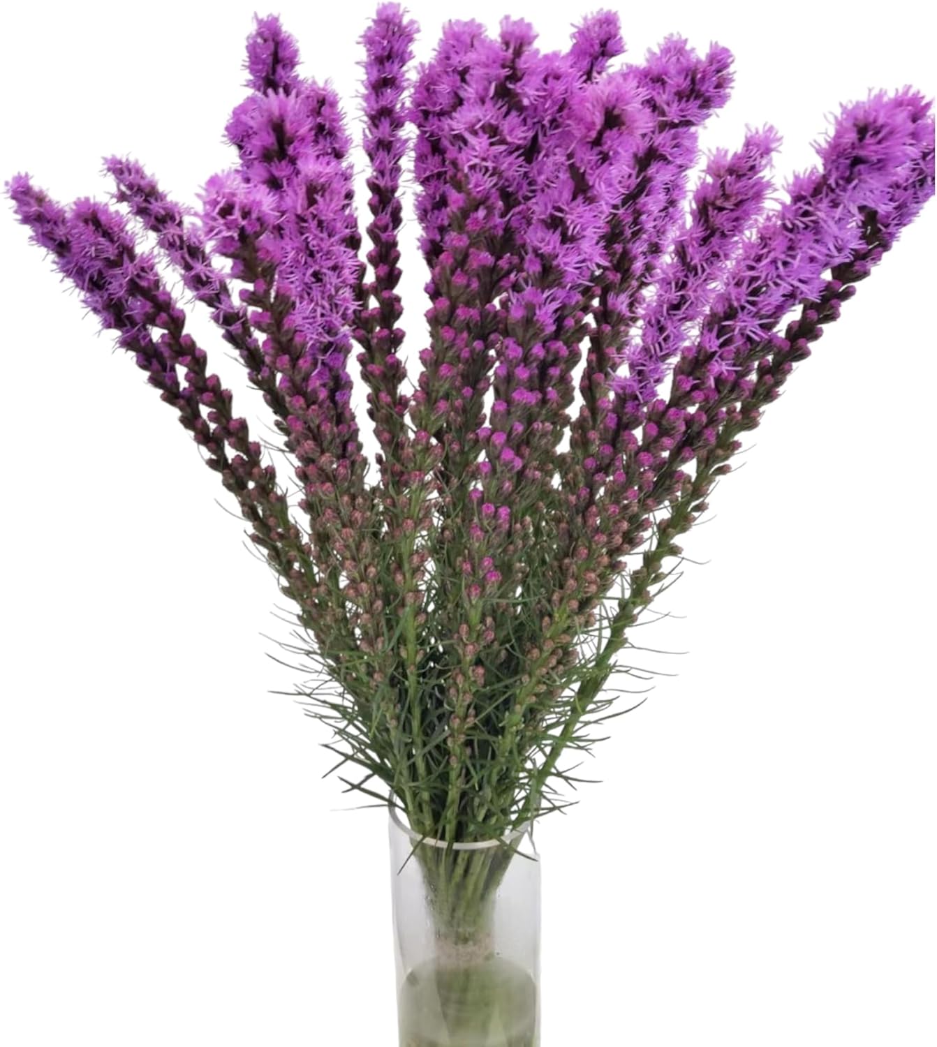 20 Stems of Fresh Snake Whipped Flowers Flower art Hydroponic flower Arrangement Gifts for home decoration birthdays anniversaries healing sympathy friendship and love