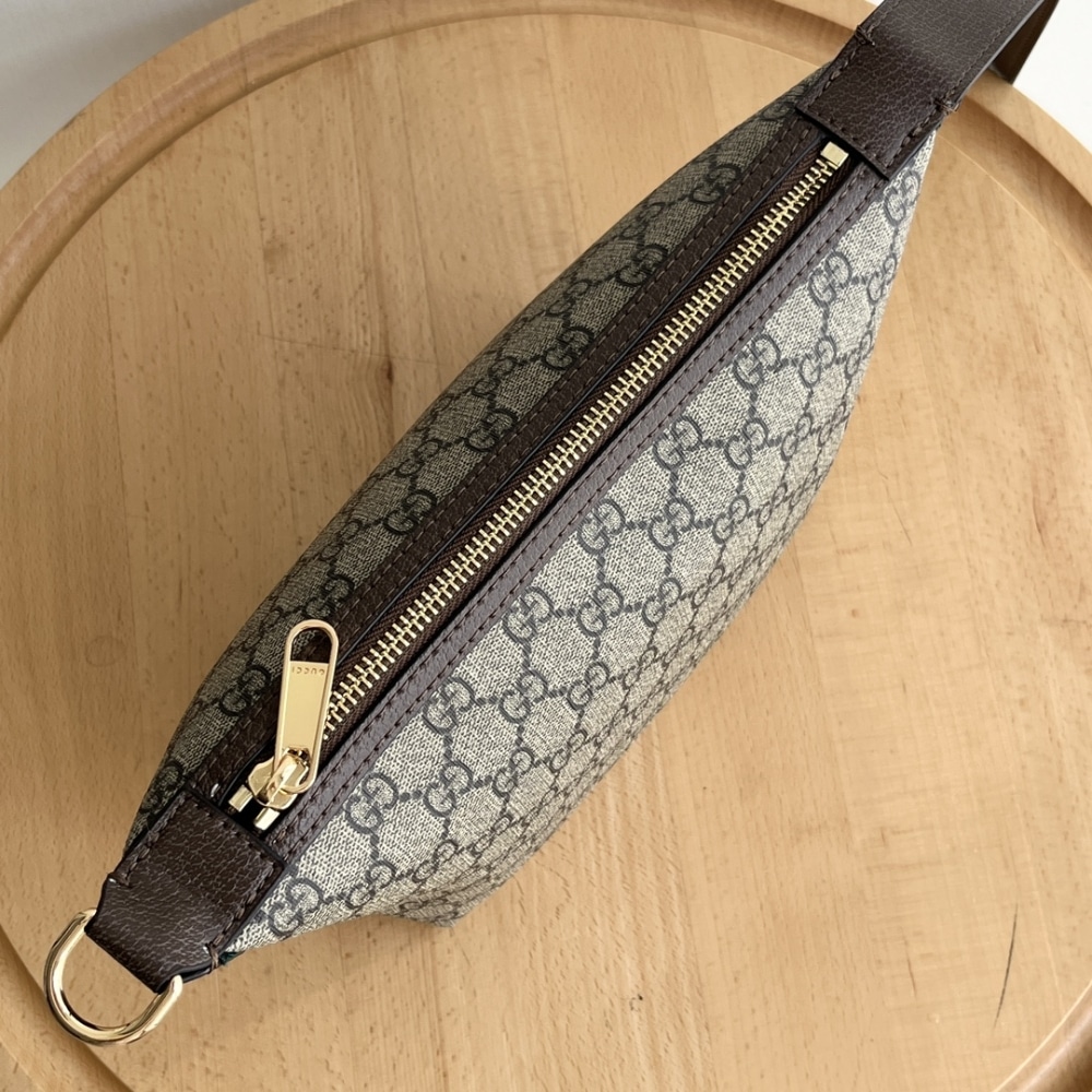 Gucci Gg Ophidia Super Mini Shoulder Bag Beige And Ebony 20Cm 795170 96Iwg 8745