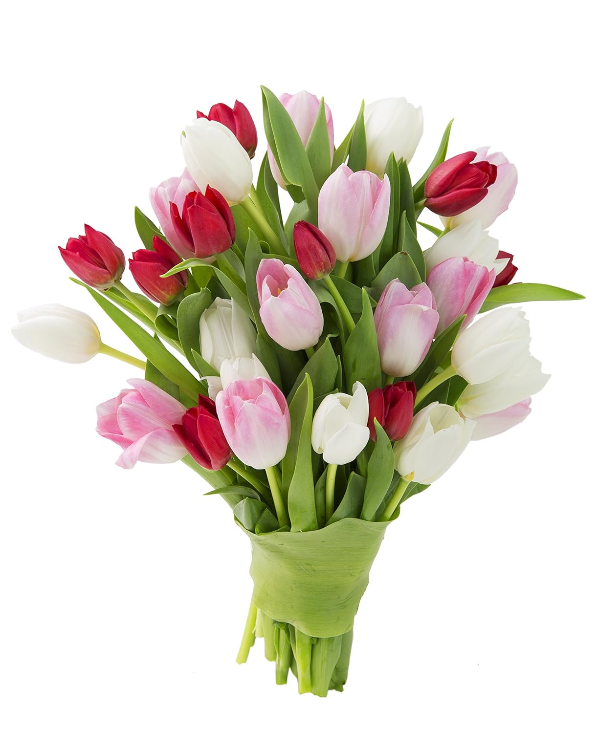 KaBloom - Combo Pack of Fresh Tulips of White, Red, and Pink 30 Count without vase - Fresh Flowers for Birthday, Valentine's & Mother's Day