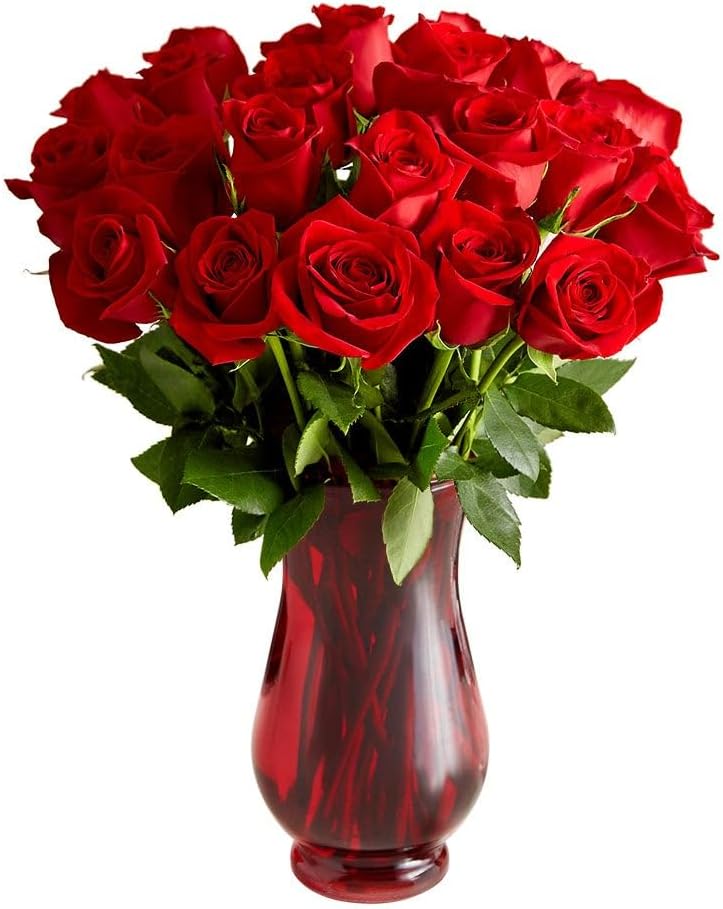 1800 Flowers – 24 Stem Red Roses (Clear Red Vase Included) | Fresh Cut Spring Flowers for Delivery | Gift for Easter, Anniversary, Sympathy, and Special Occasions