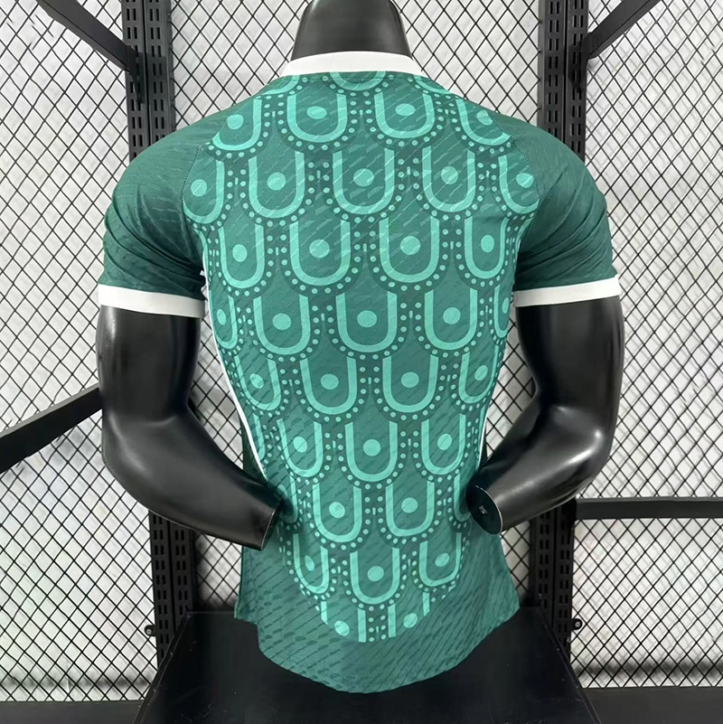 Player 2025-26 Mexico Special Edition Football jersey