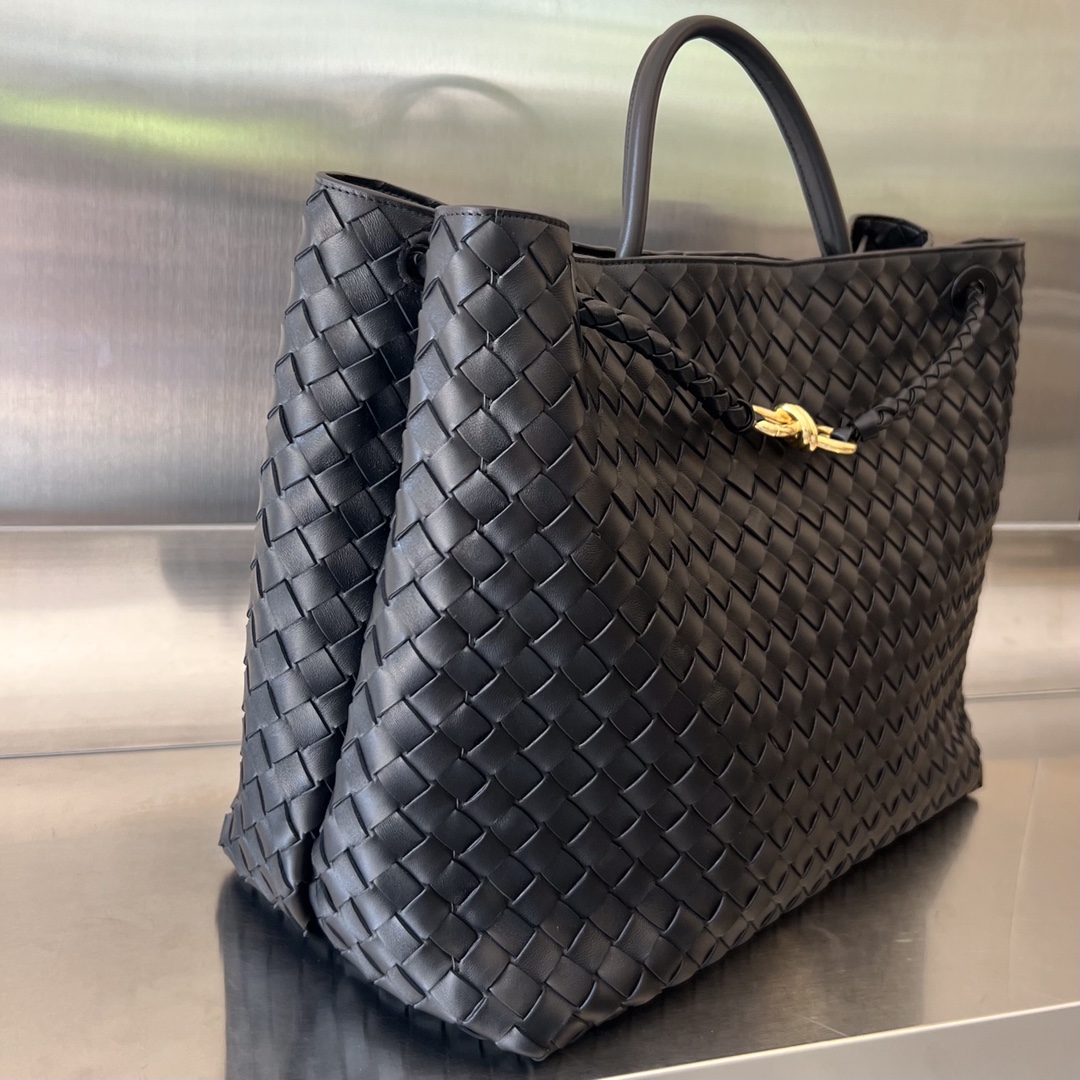 Bottega Veneta Andiamo Bag (Model 743575