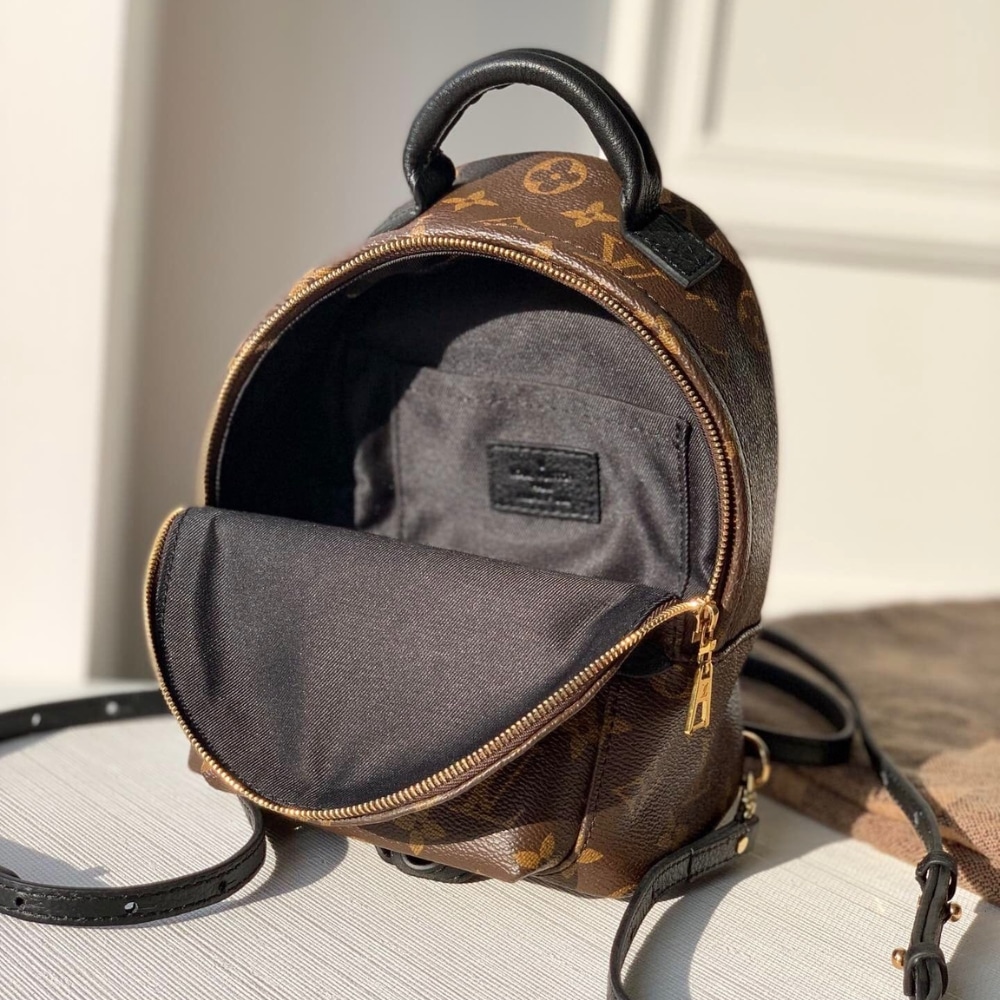 Louis Vuitton Palm Springs Mini Backpack Monogram Canvas 22cm M44873