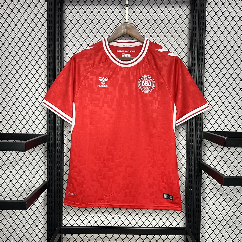 2024-25 Denmark Euro Home Football jersey