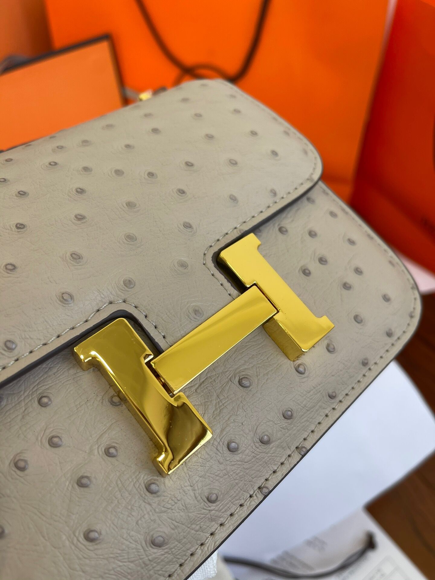 Constance Mini 19