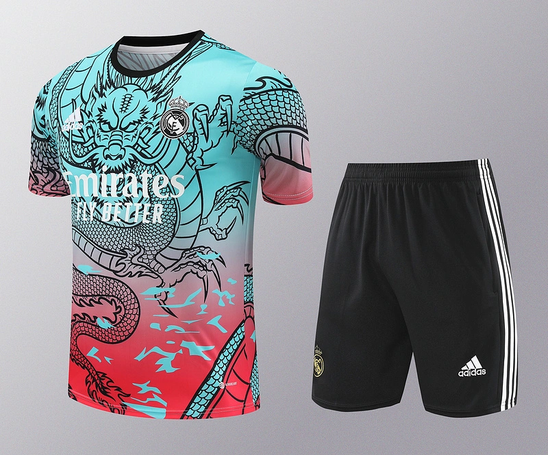2024-25 Real Madrid Short Sleeve Training Wear