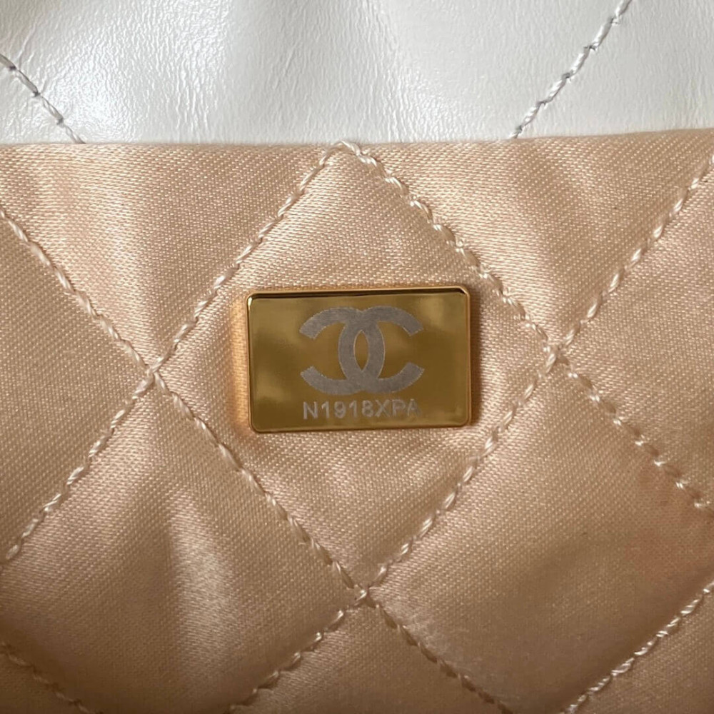 Chanel 22 Mini Bag in Shiny Calfskin