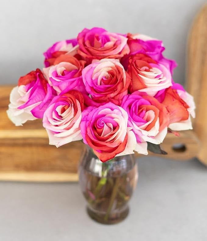 From You Flowers - One Dozen Wild Pink Roses with Glass Vase | Fresh Flower Bouquets for Birthday, Anniversary, Get Well or Celebration