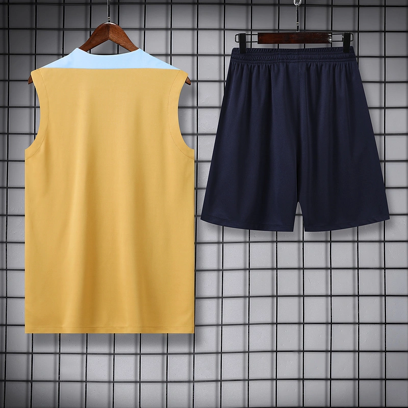 2024-25 season France Sleeveless Vest Training Wear