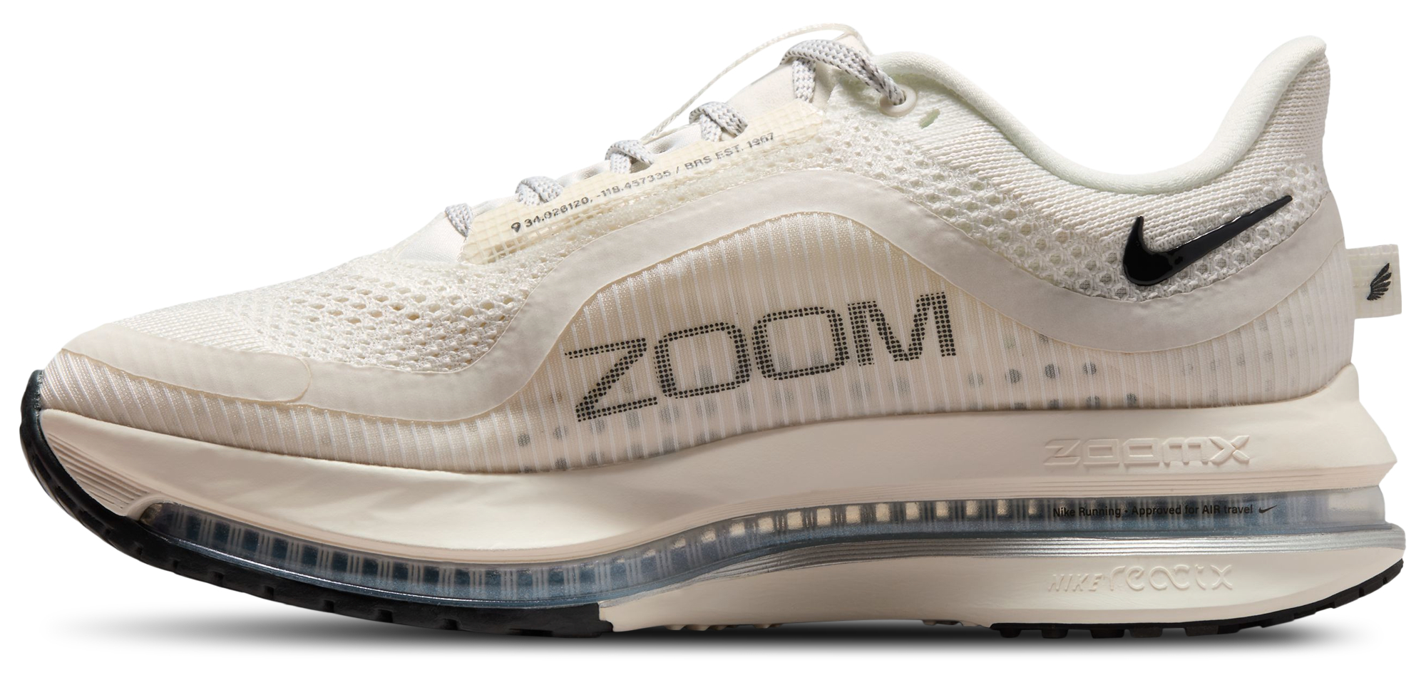 Nike Pegasus Premium