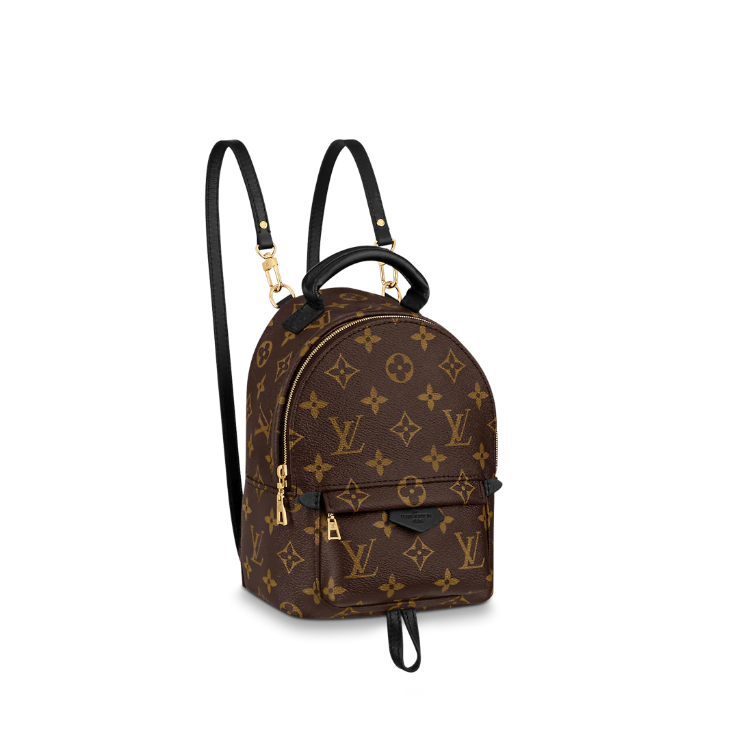 Louis Vuitton Palm Springs Backpack PM Monogram Canvas – 22cm/8.7in