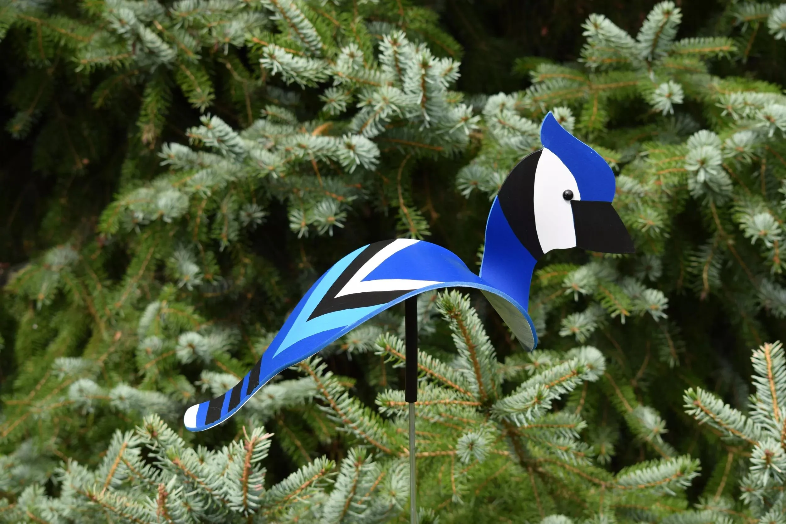 Florida Dancing Birds®, Songbirds