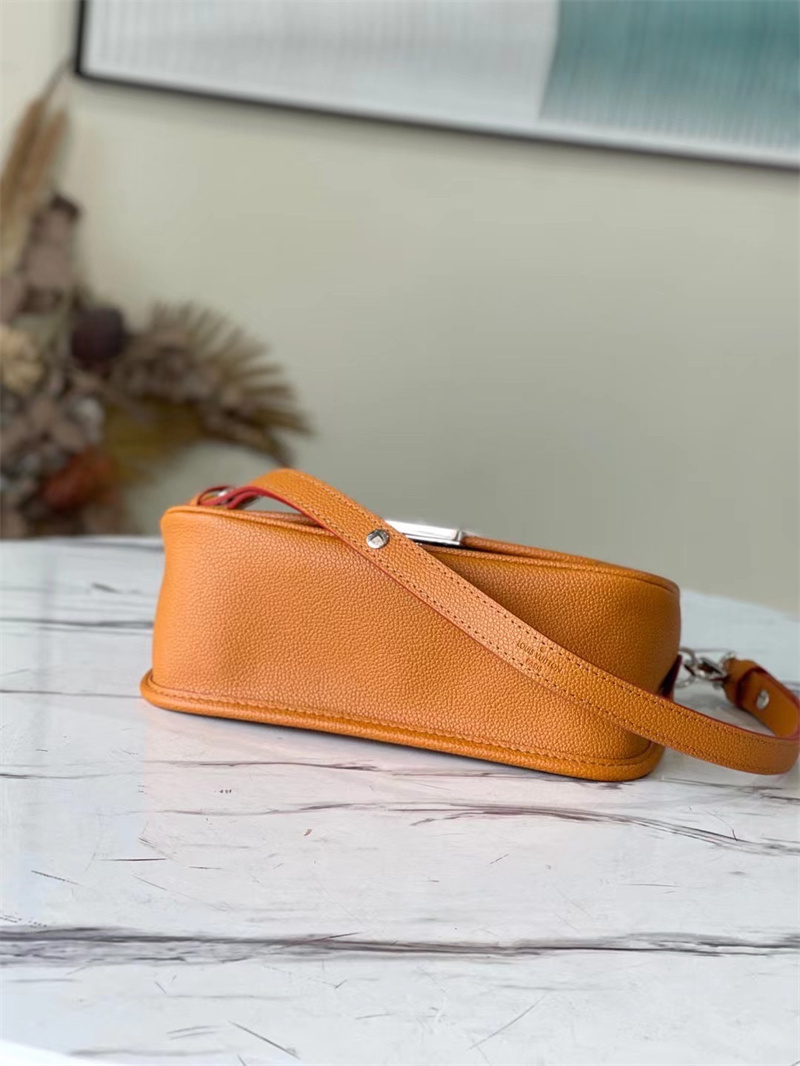 Louis Vuitton Buci 24Cm Brown