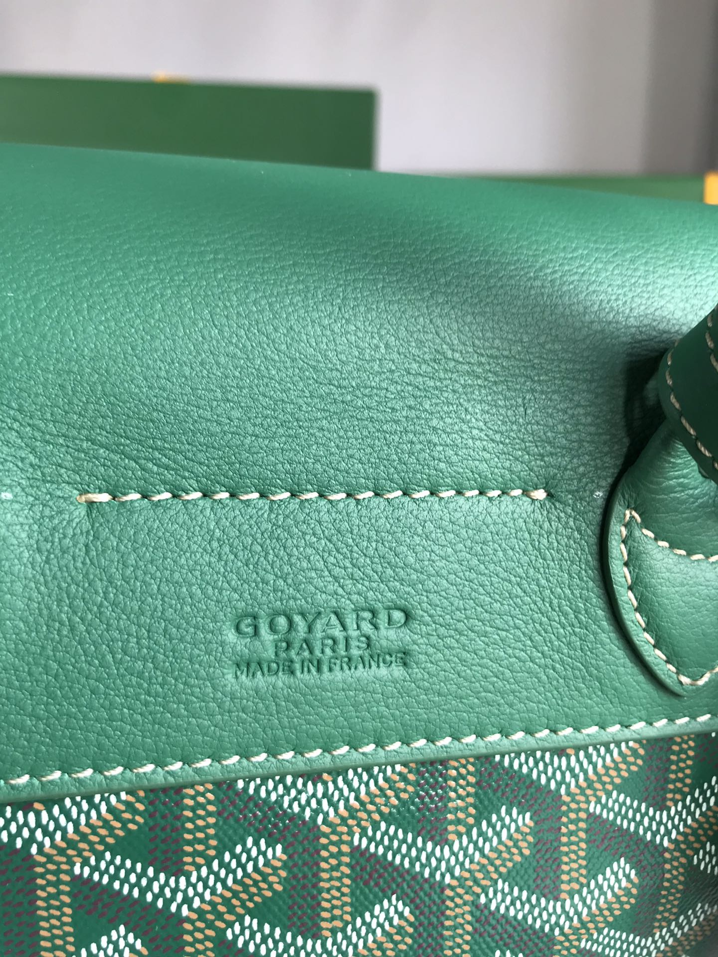 Goyard Alpin Mini Backpack 21 Cm Green Lambskin And Goyardine Canvas