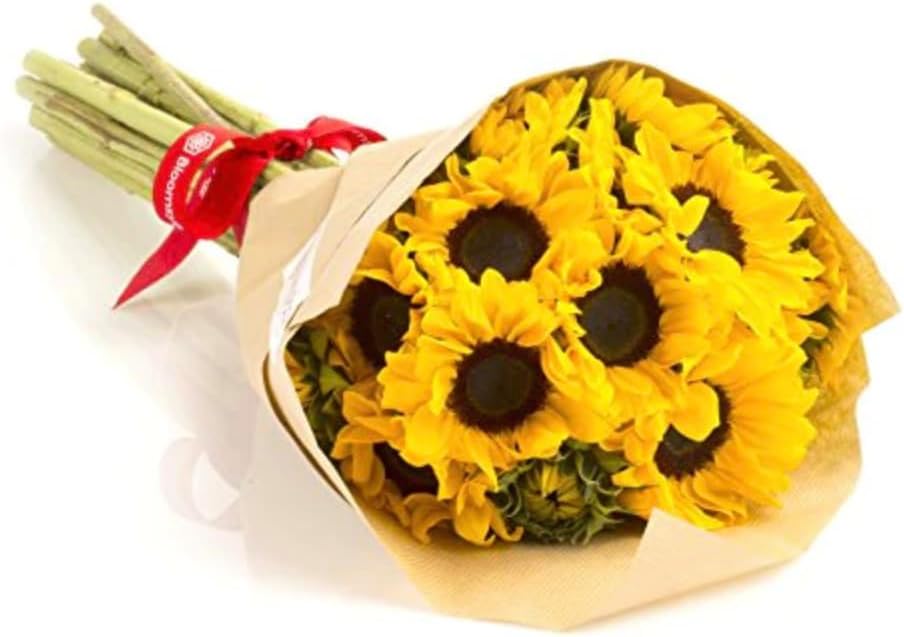 BloomsyBox: Farm-Fresh Sunflowers | 10 Stems, Yellow Design, Care Card, Flower Food, Lush Greenery, Flower Delivery, Birthday, Anniversary,Get well, Wedding Flowers | No Vase