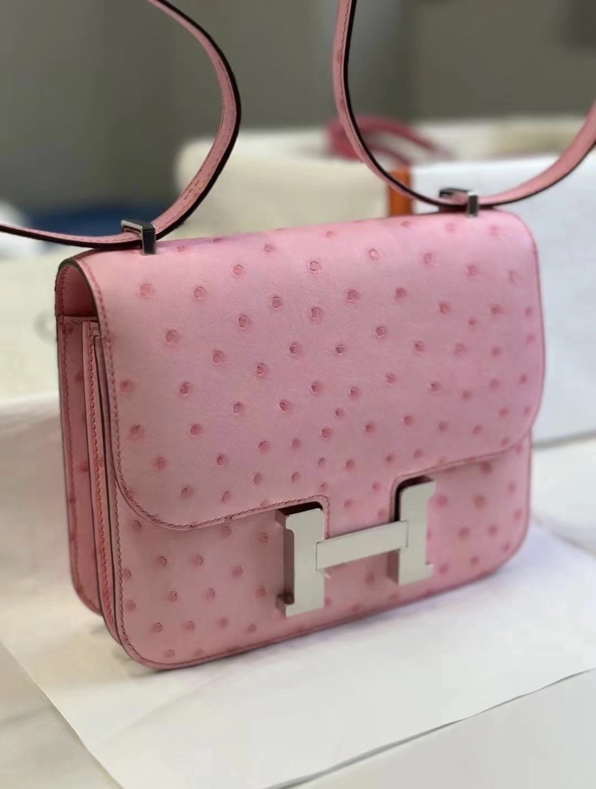 CONSTANCE 19 Bubblegum Pink Ostrich Leather Custom