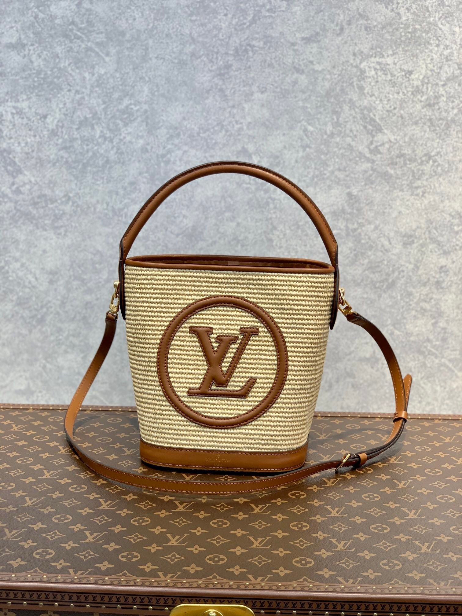 Louis Vuitton Petit Bucket 23Cm Brown