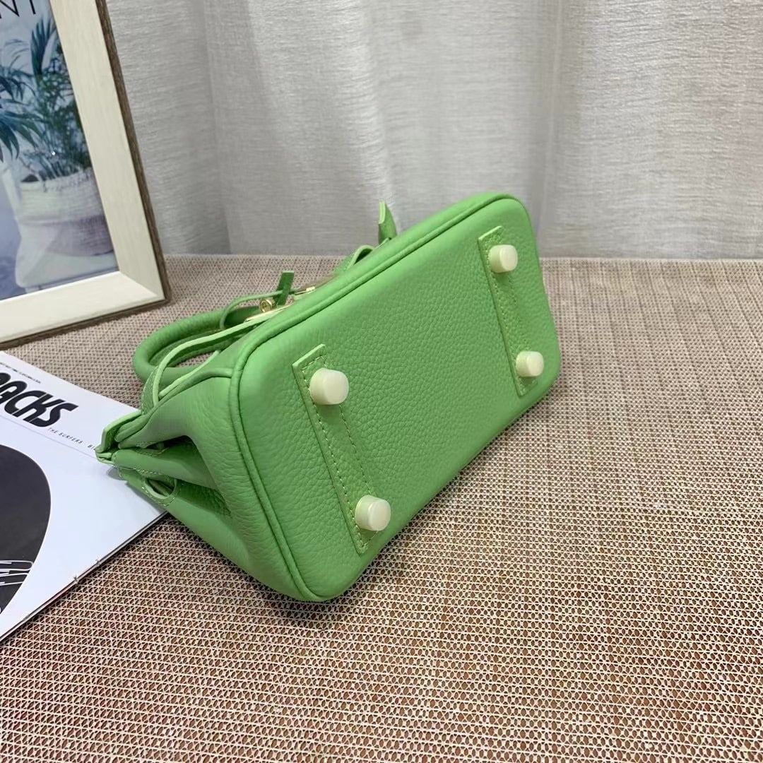 Hermès Birkin B25 Togo Grenat Ghw Green 20Cm