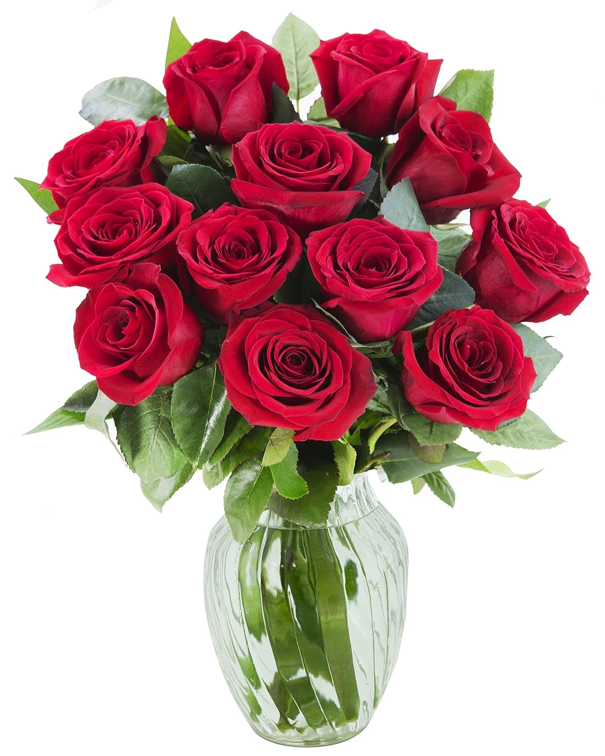 KaBloom - The Romantic Classic Bouquet of 12 Fresh Red Roses (Farm-Fresh, Long-Stem) with Vase - Fresh Flowers for Birthday, Valentine's & Mother's Day