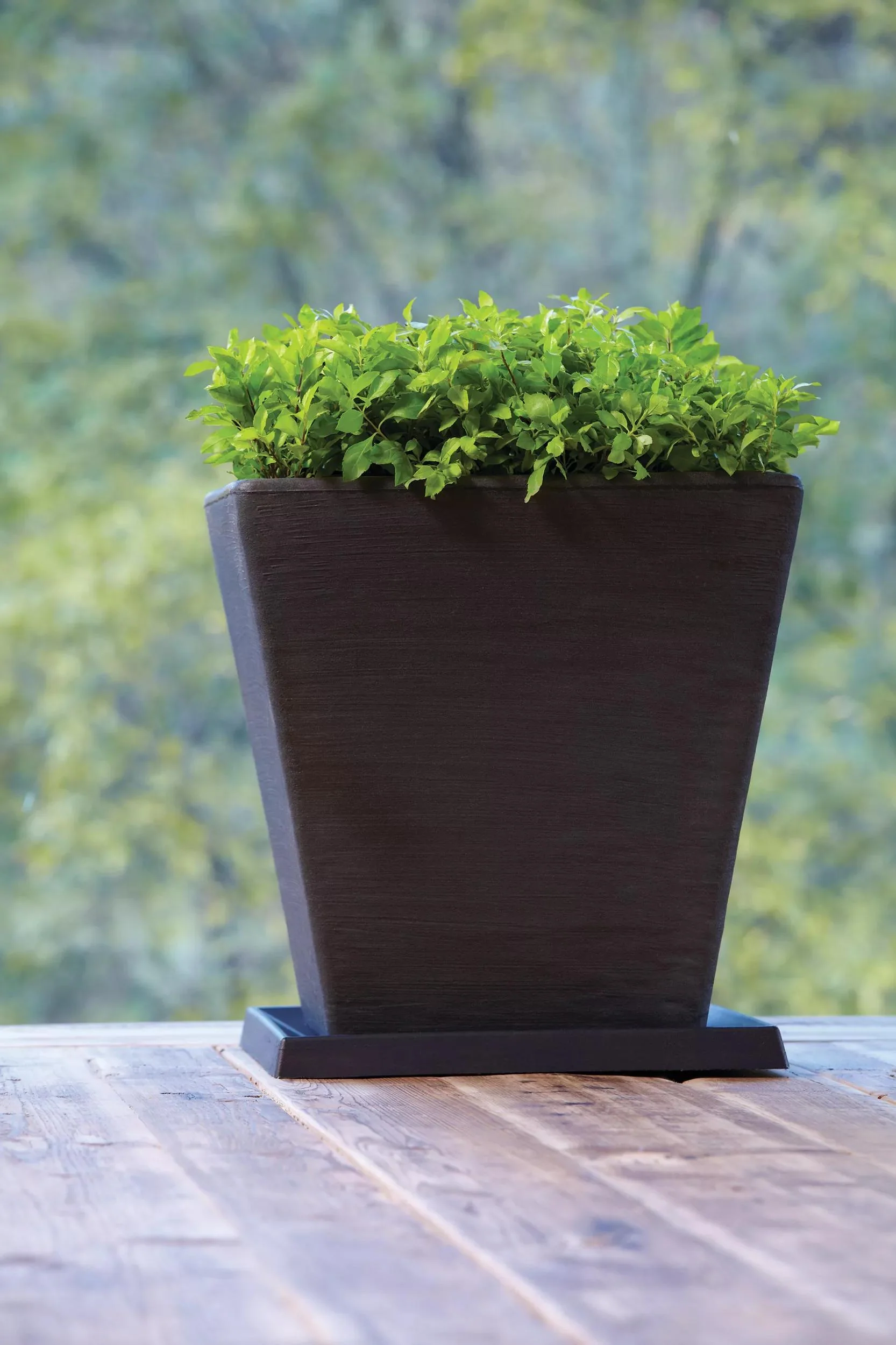 Universal Square Planter Saucers