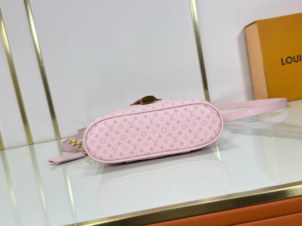 Louis Vuitton Vanity Chain Pouch Light Bliss Cream 19cm M29344