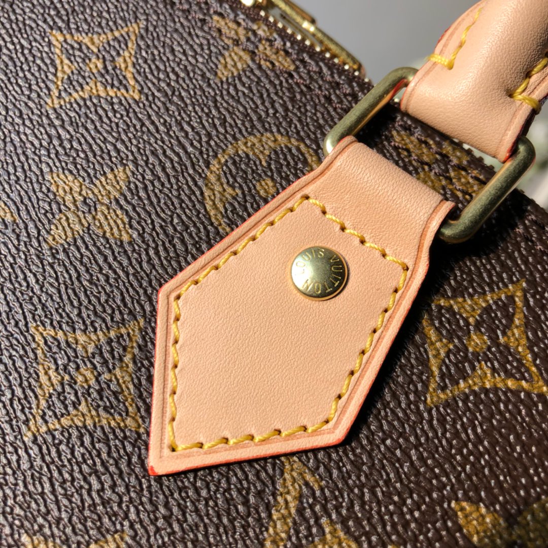 Louis Vuitton Alma Pm 32Cm