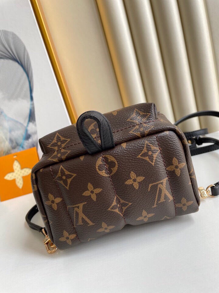 Louis Vuitton Palm Springs Backpack Mini Monogram Canvas – 17cm/6.7in