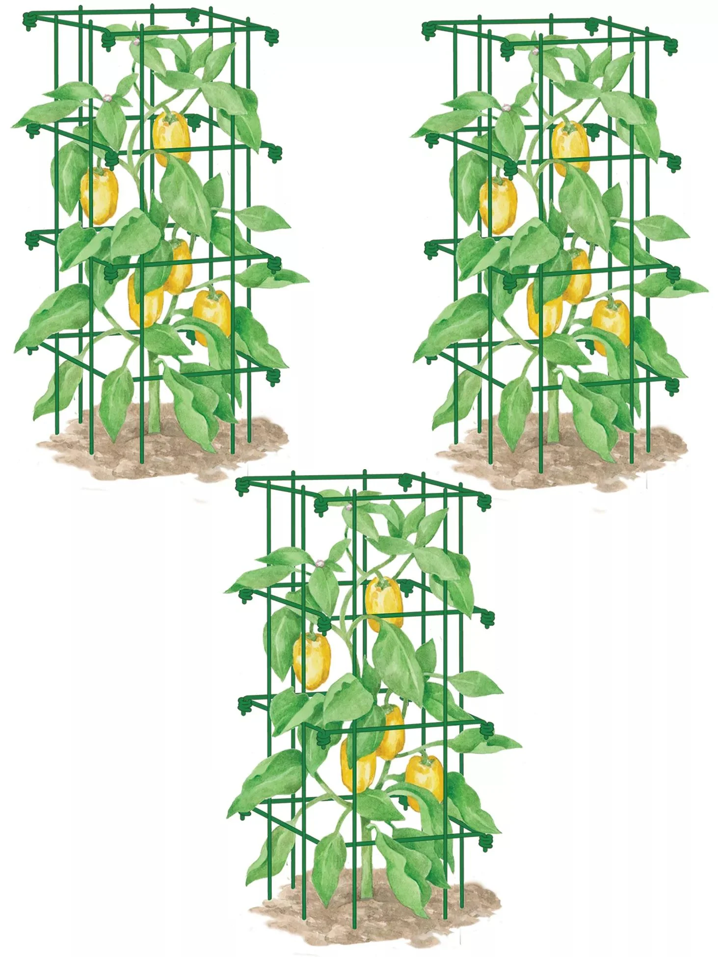 Pepper and Eggplant Cages, Set of 3
