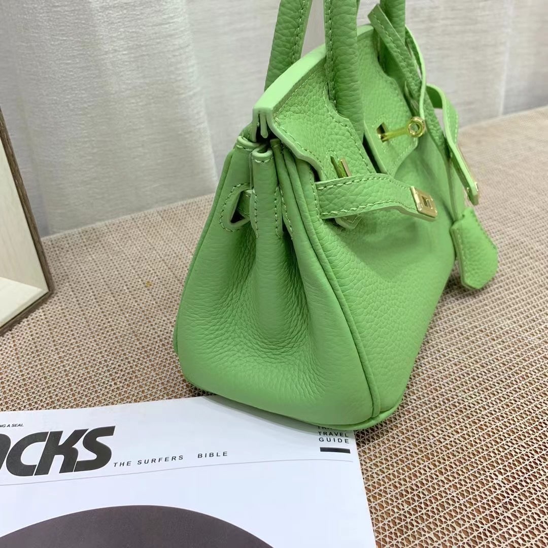 Hermès Birkin B25 Togo Grenat Ghw Green 20Cm