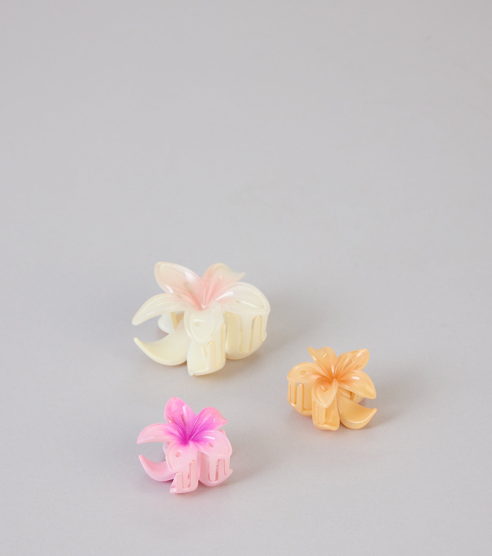 Tropical Tresses Hair Claw Clip Set