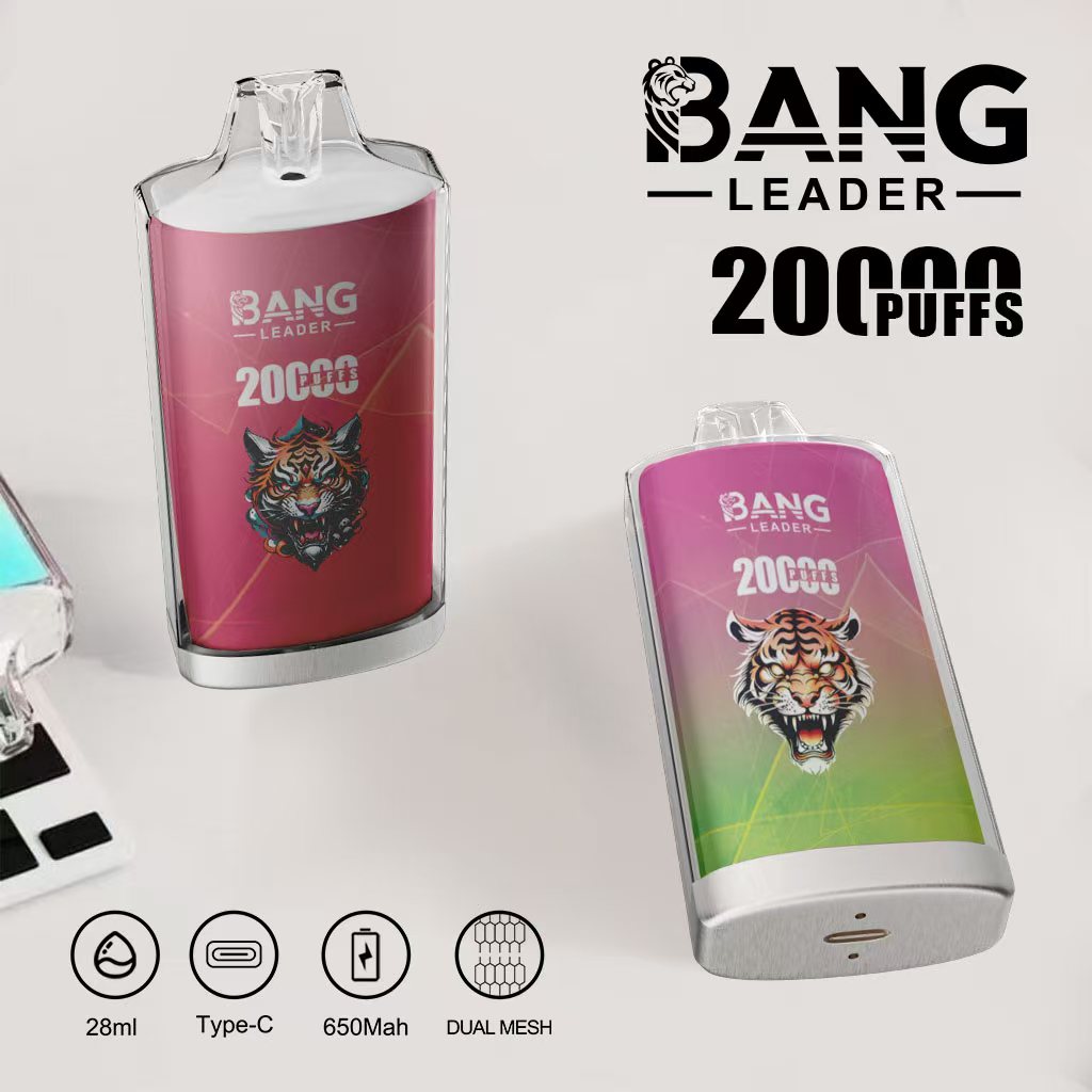 Bang Leader 20K Puffs 2-in-1 Prefilled Vape | Dual Flavor, Rechargeable