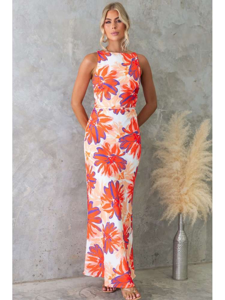 Colorblock Printed Backless A-line Maxi Dress
