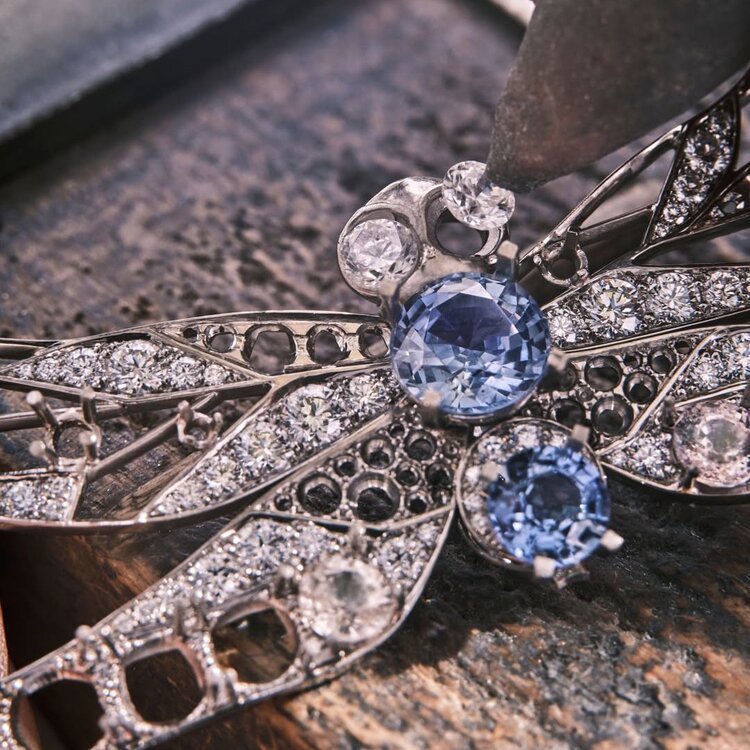 Dragonfly-themed brooch