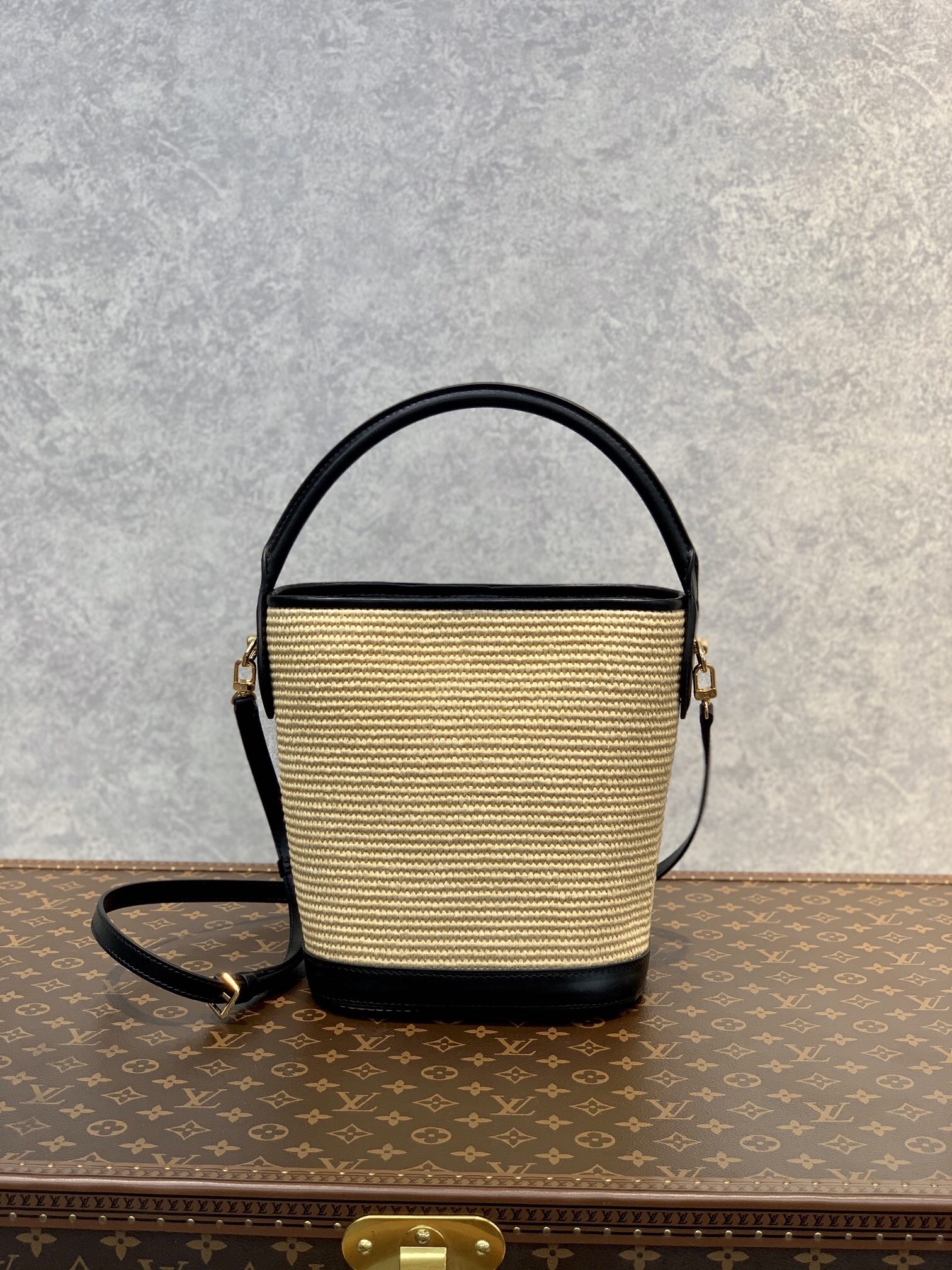 Louis Vuitton Petit Bucket 24Cm Black M59961