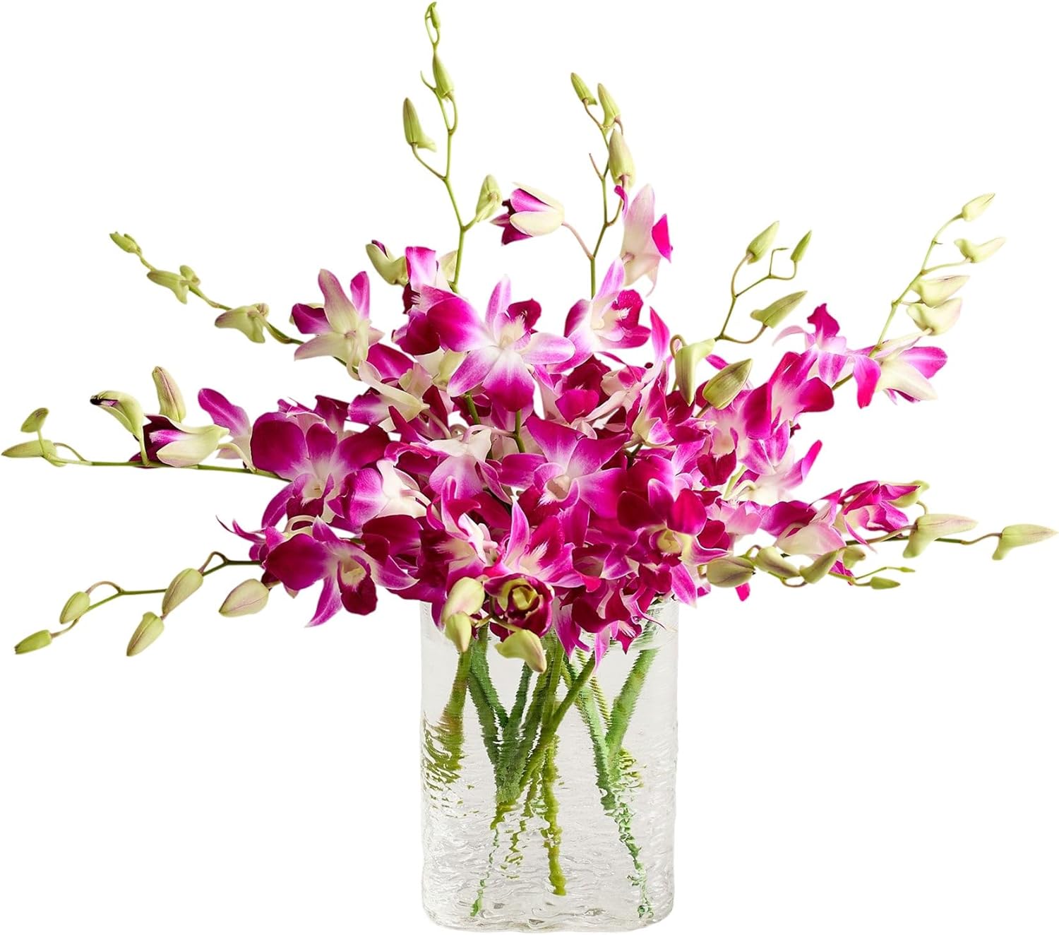 1800 Flowers – 10 Stem Exotic Breeze™ Orchids (Clear Vase) | Fresh Cut Spring Flowers for Delivery | For Easter, Anniversary, Sympathy, and Special Occasions