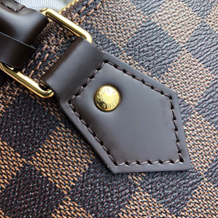 Louis Vuitton Alma Pm Damier Ebene