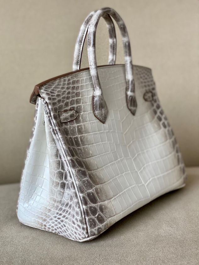 Hermès Brikin Himalayan 25 crocodile skin