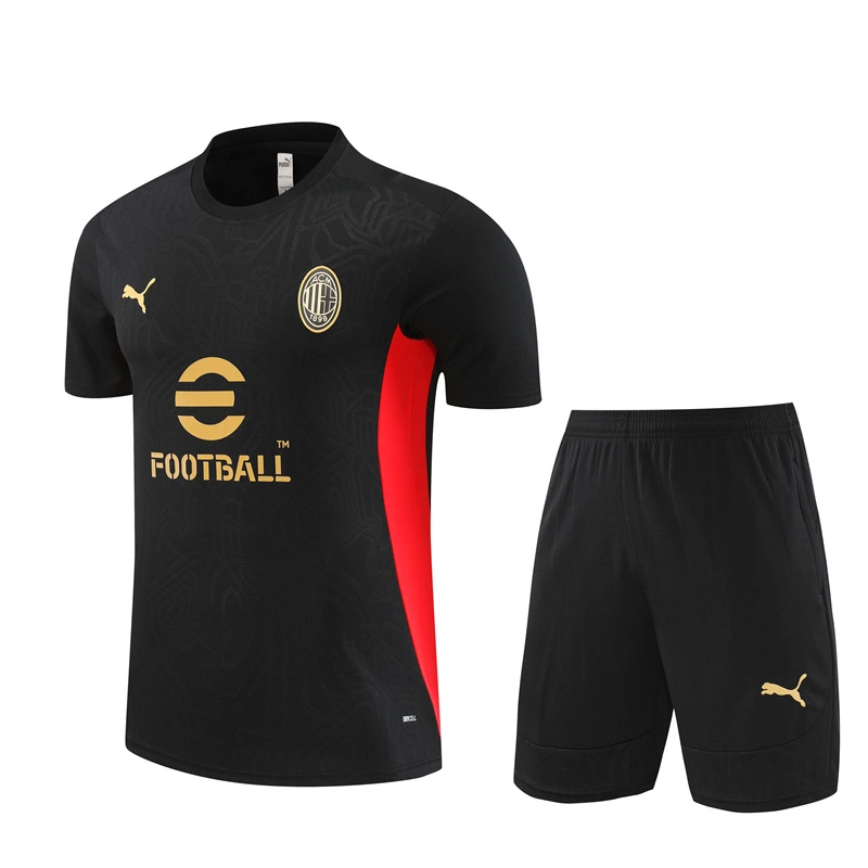 2024-25 Ac Milan Short-sleeved training clothese