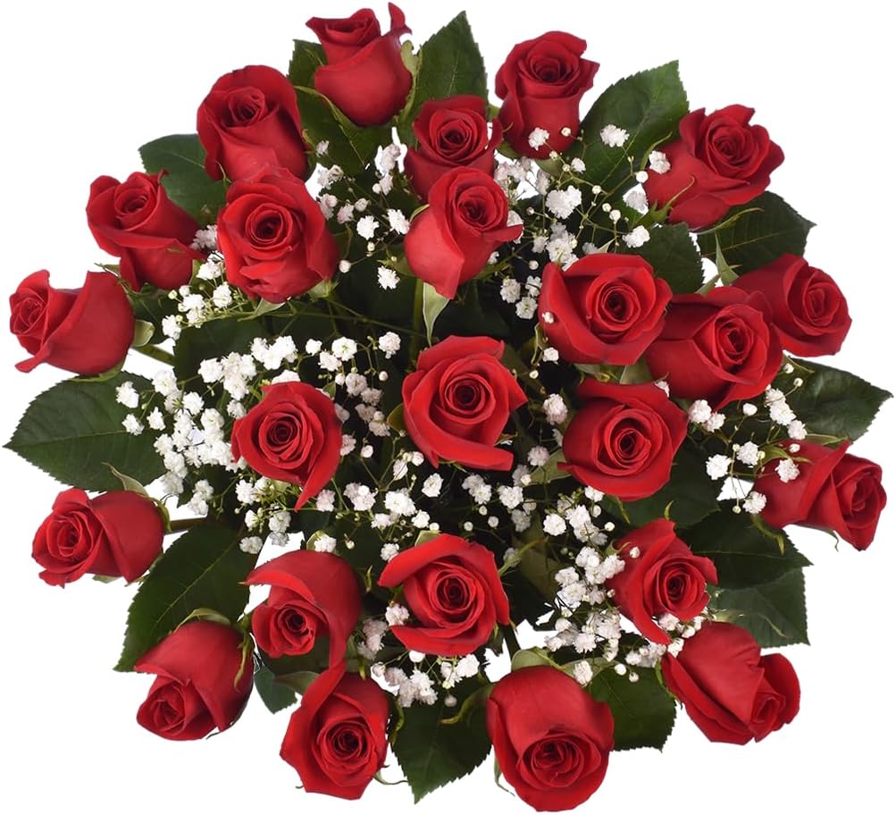 Floral Compass by Nature’s Flowers - Red Roses Double Dozen Bouquet - Valentine's Day Gifts, 24 Fresh Cut Roses for Delivery, Premium Stems, No Vase