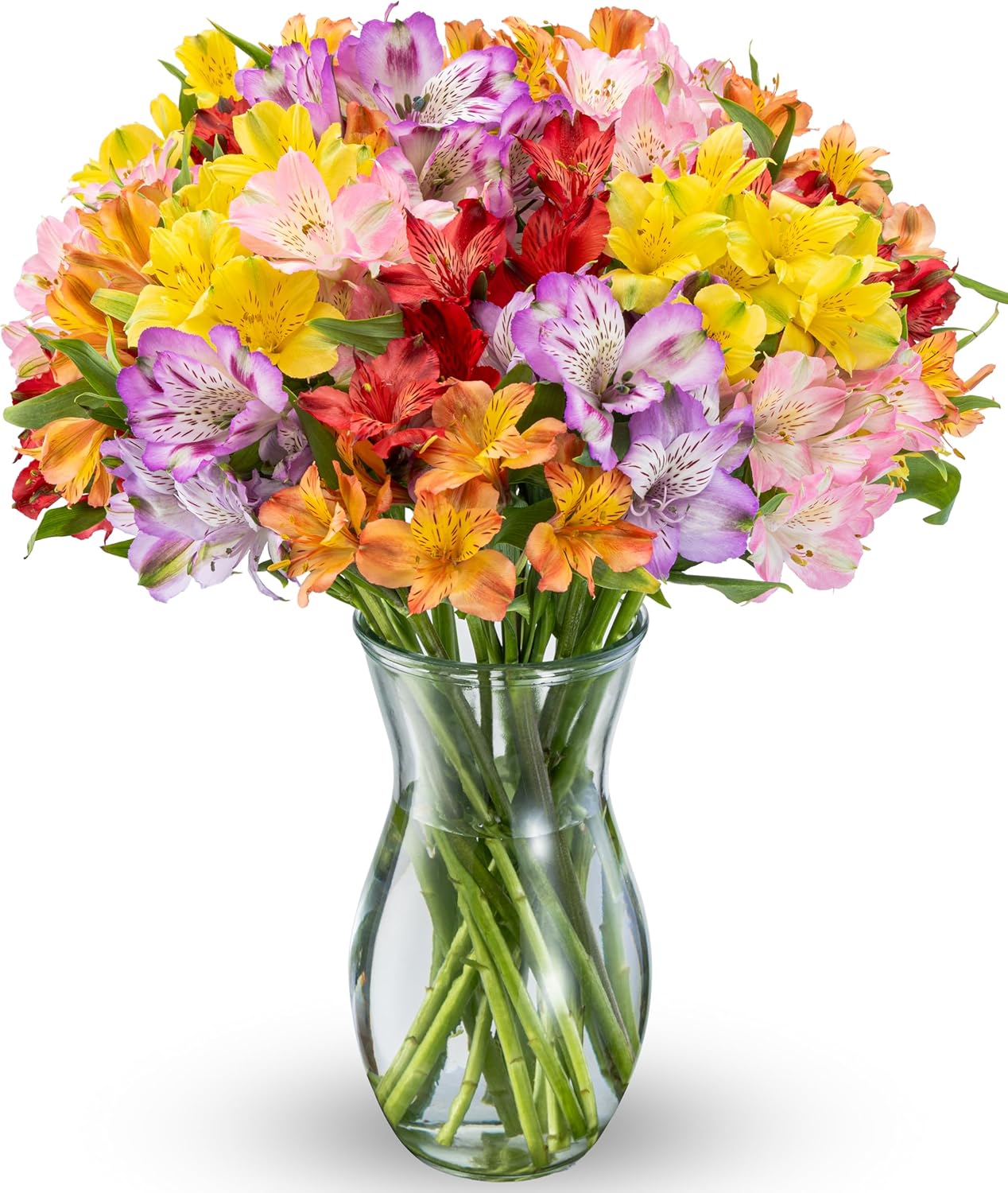 Benchmark Bouquets - Alstroemeria Fresh Flower Bouquet - Easter Flowers for Delivery - Lilies in a Vase - Floral Arrangements Gift Set - Birthday Flowers for Women - Glass Vase Included (20 Stems)