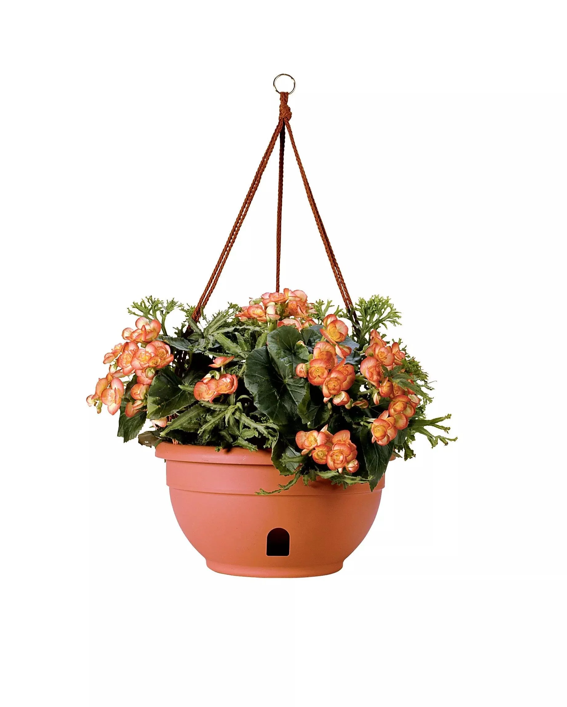 Self-Watering Hanging Basket